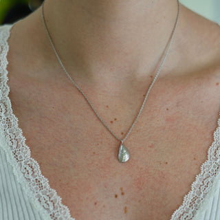 Mini Mussel Shell Charm Necklace