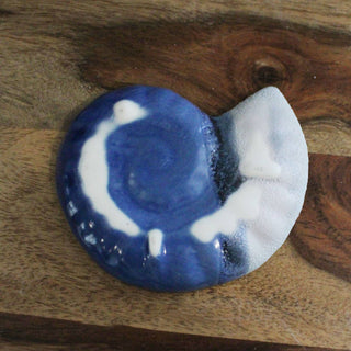 Nautilus Shell Ceramic Trinket Plate