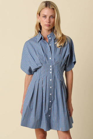 Alana Gingham Button-Front Dress