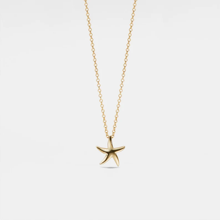 Starfish Sterling Silver Necklace