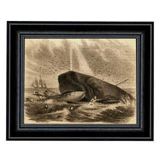 The Whale of Captain DeLois Etch Print