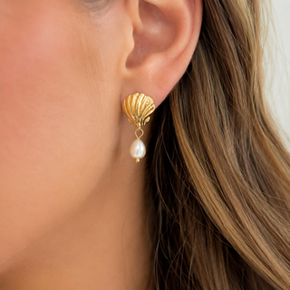 Shell Pearl Drop Earring