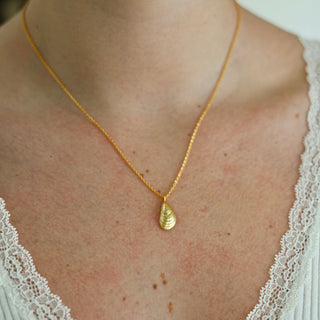 Mini Mussel Shell Charm Necklace