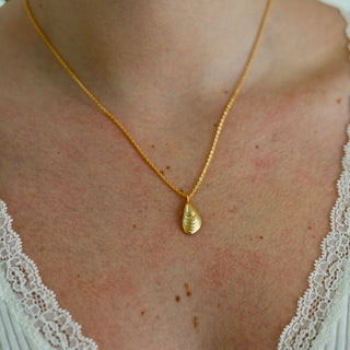 Mini Mussel Shell Charm Necklace