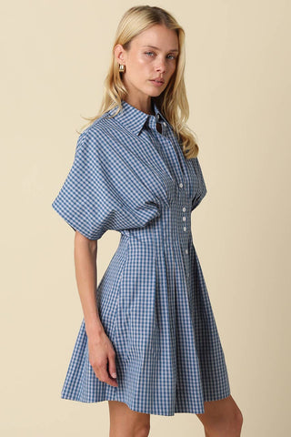Alana Gingham Button-Front Dress